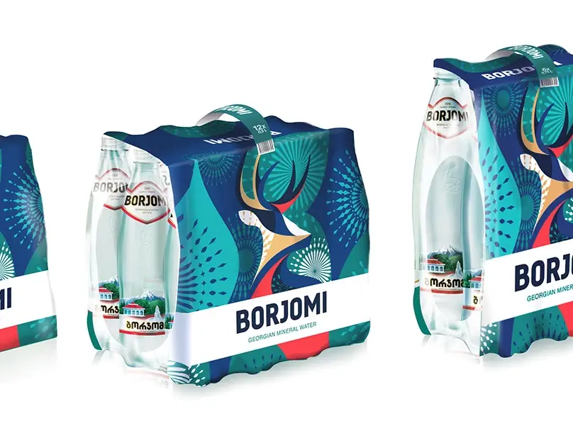 IDS Borjomi project cover